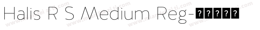 Halis R S Medium Reg字体转换